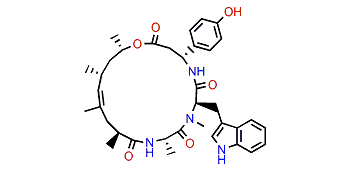 Jaspamide Q